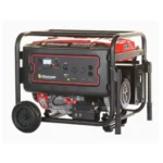 Planta Eléctrica a Gasolina WARRIOR PREMIUM R6000DP-8